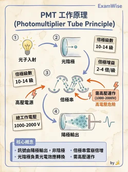 放射 - 非影像閃爍偵測器 - AI 圖文解析預覽