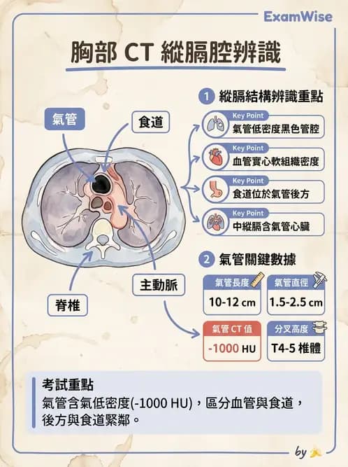 放射 - 胸腹部CT診斷 - AI 圖文解析預覽