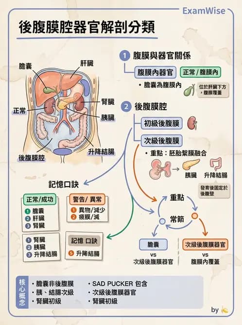 放射 - 軀幹四肢攝影技術 - AI 圖文解析預覽