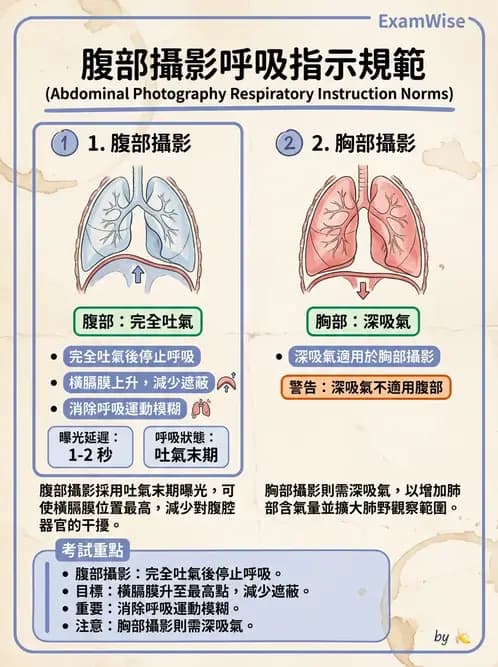 放射 - 軀幹四肢攝影技術 - AI 圖文解析預覽
