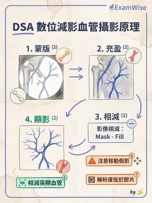 放射 - 血管攝影原理與解剖 - AI 圖文解析預覽