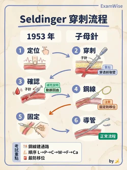 放射 - 導管技術與介入性治療 - AI 圖文解析預覽