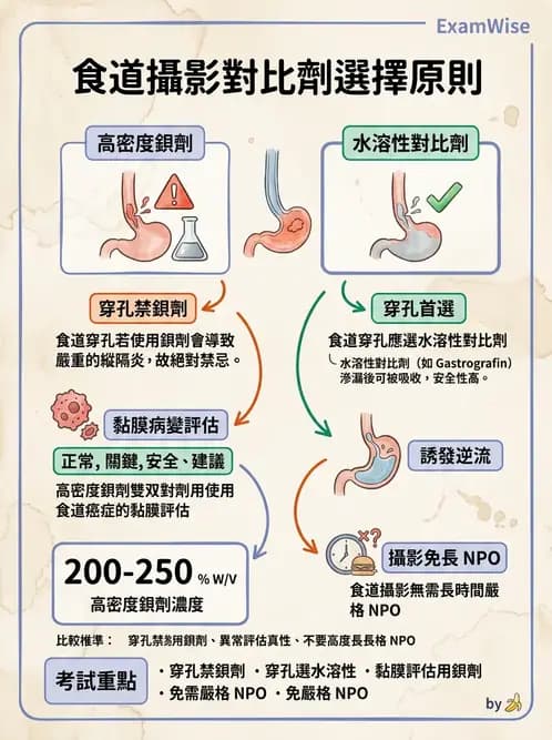 放射 - 消化道造影 - AI 圖文解析預覽