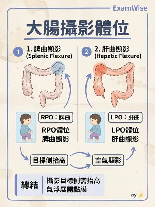 放射 - 消化道造影 - AI 圖文解析預覽