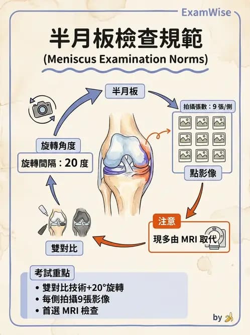 放射 - 軀幹四肢攝影技術 - AI 圖文解析預覽
