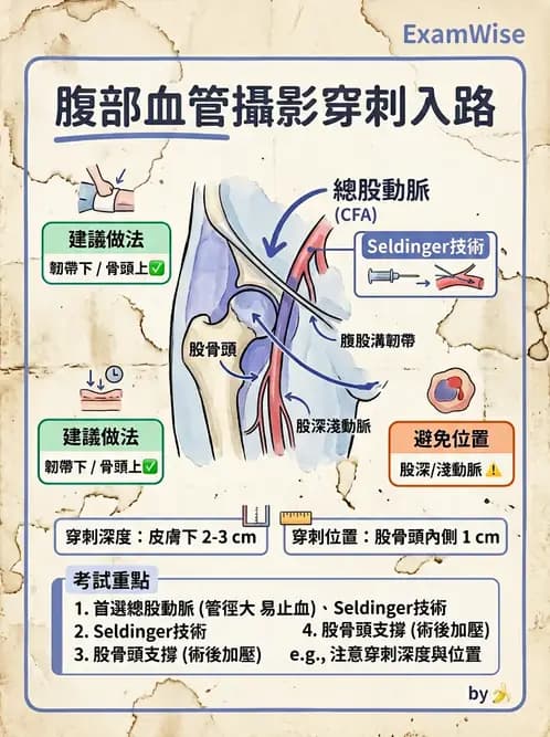 放射 - 血管攝影原理與解剖 - AI 圖文解析預覽