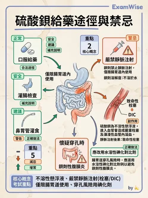 放射 - 消化道造影 - AI 圖文解析預覽