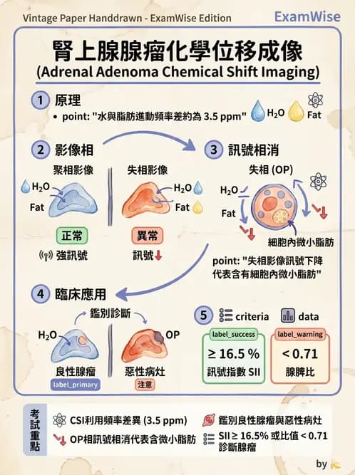 放射 - MRI脈衝序列與訊號技術 - AI 圖文解析預覽