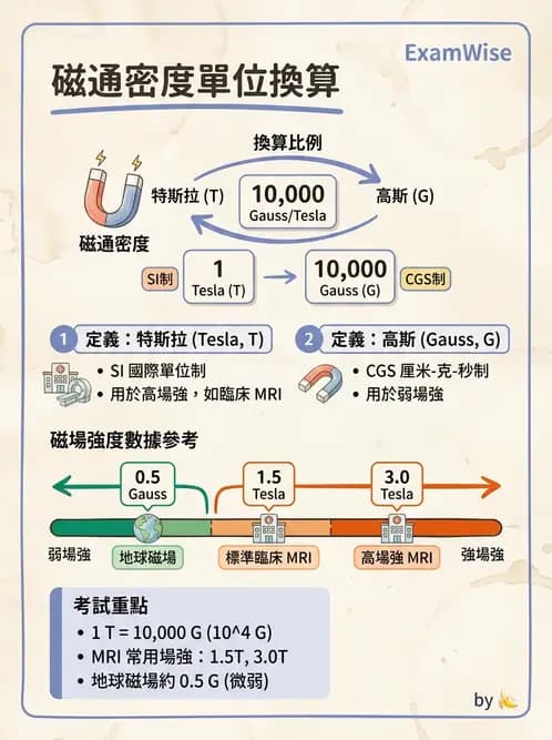 放射 - 磁振造影原理 - AI 圖文解析預覽