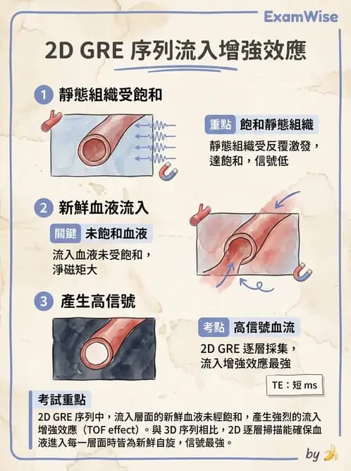 放射 - MRI脈衝序列與訊號技術 - AI 圖文解析預覽