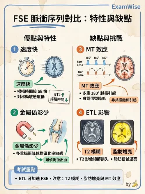 放射 - MRI脈衝序列與訊號技術 - AI 圖文解析預覽
