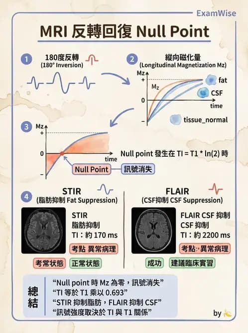 放射 - MRI脈衝序列與訊號技術 - AI 圖文解析預覽