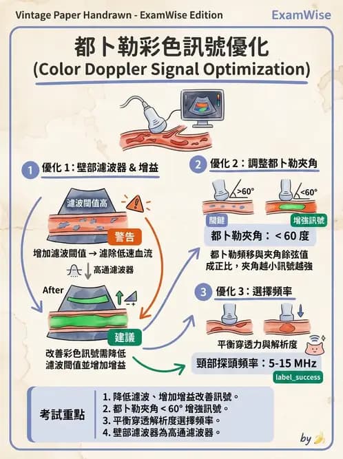 放射 - 超音波物理與技術 - AI 圖文解析預覽