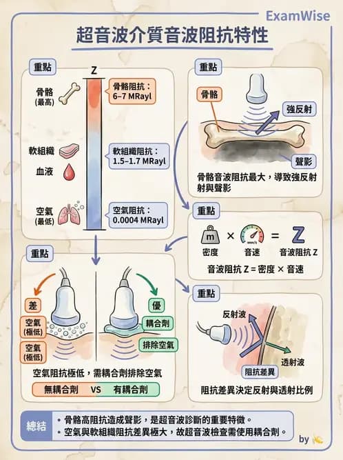 放射 - 超音波物理與技術 - AI 圖文解析預覽