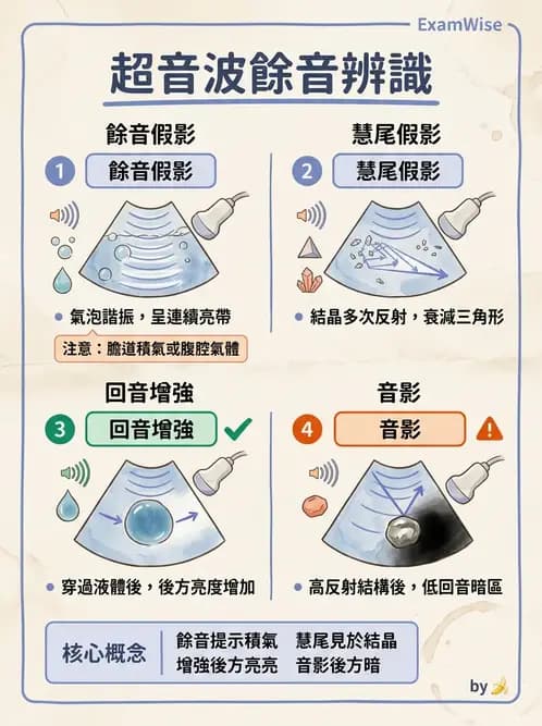 放射 - 超音波物理與技術 - AI 圖文解析預覽
