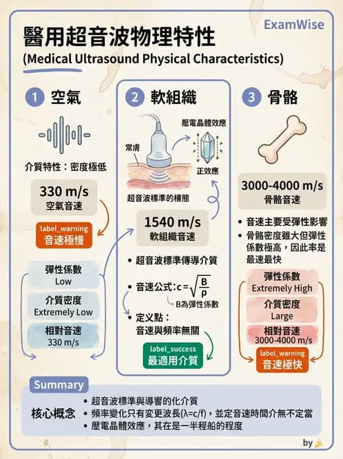 放射 - 超音波物理與技術 - AI 圖文解析預覽