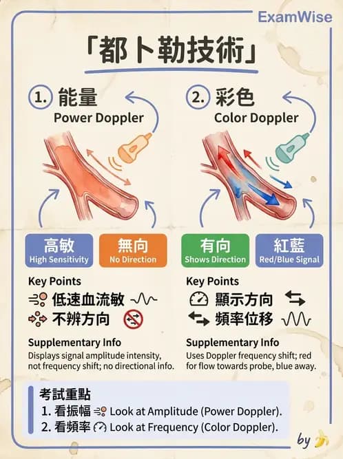 放射 - 腎臟血管與其他超音波 - AI 圖文解析預覽