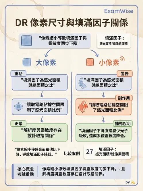 放射 - 數位影像原理與處理技術 - AI 圖文解析預覽
