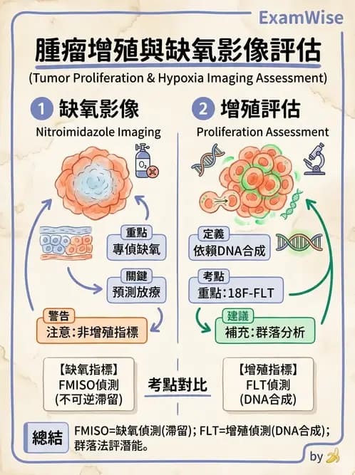 放射 - 細胞與腫瘤動力學 - AI 圖文解析預覽