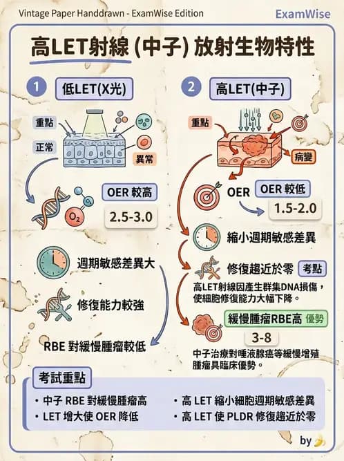 放射 - LET、RBE、OER與復氧效應 - AI 圖文解析預覽