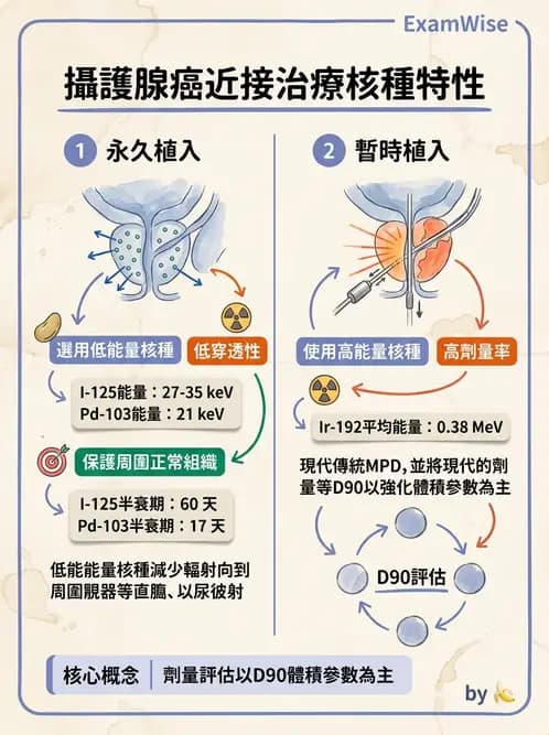 放射 - 插種近接治療 - AI 圖文解析預覽