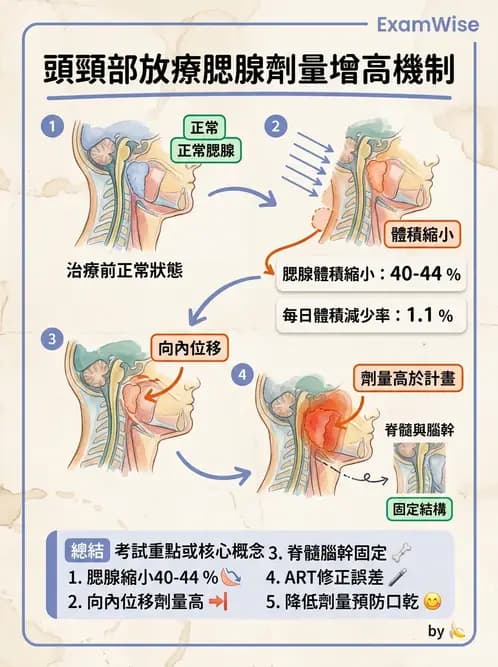 放射 - 疾病部位計畫與危急器官保護 - AI 圖文解析預覽