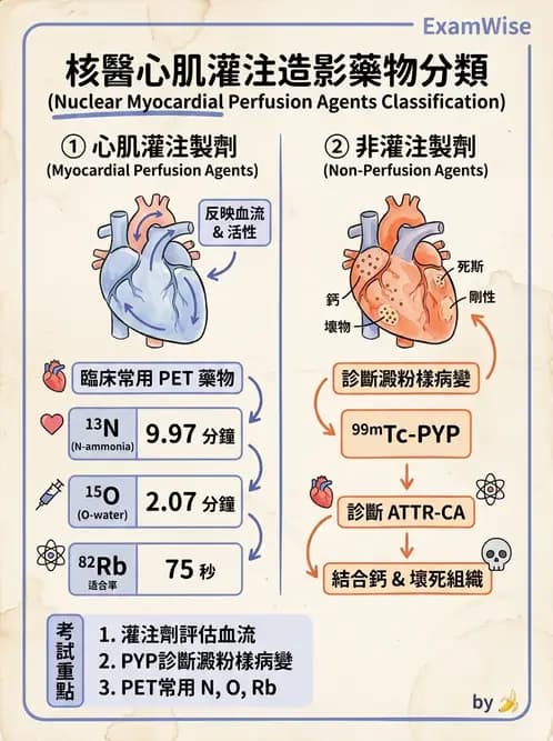 放射 - PET藥物基礎與心臟造影 - AI 圖文解析預覽