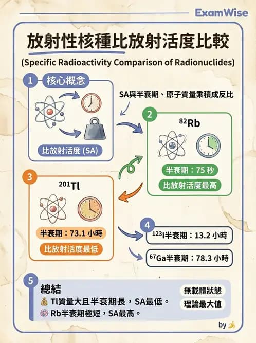 放射 - 蛻變類型與計算 - AI 圖文解析預覽
