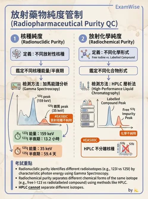 放射 - 肺肝膽與製劑通則 - AI 圖文解析預覽