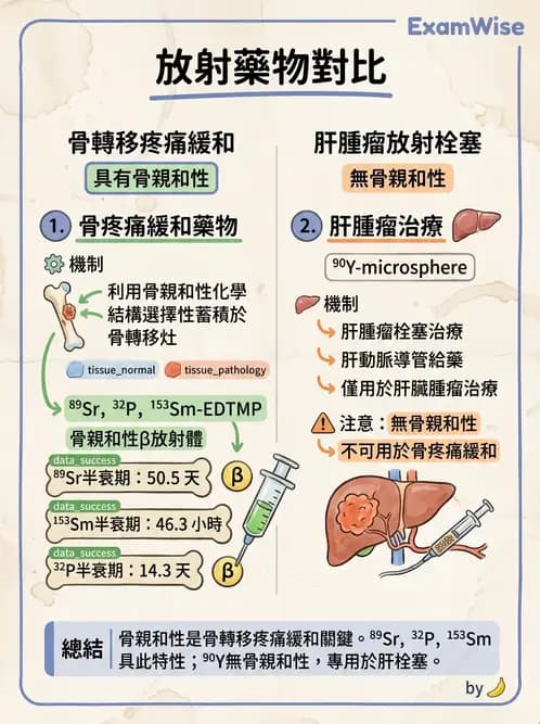 放射 - 治療用核醫藥物 - AI 圖文解析預覽