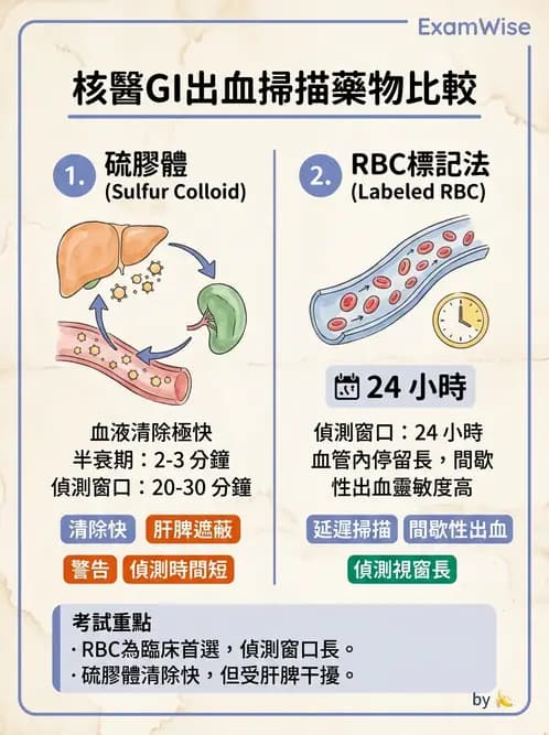 放射 - 消化道造影 - AI 圖文解析預覽