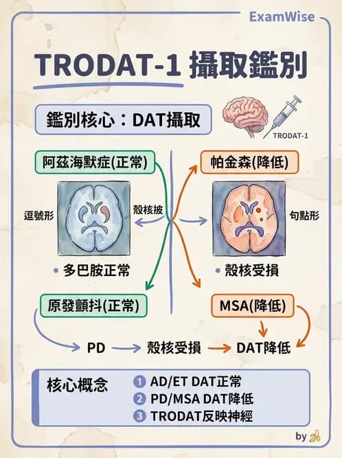放射 - 腦部造影SPECT藥物 - AI 圖文解析預覽