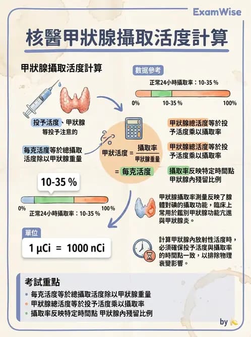 放射 - 非腫瘤治療 - AI 圖文解析預覽