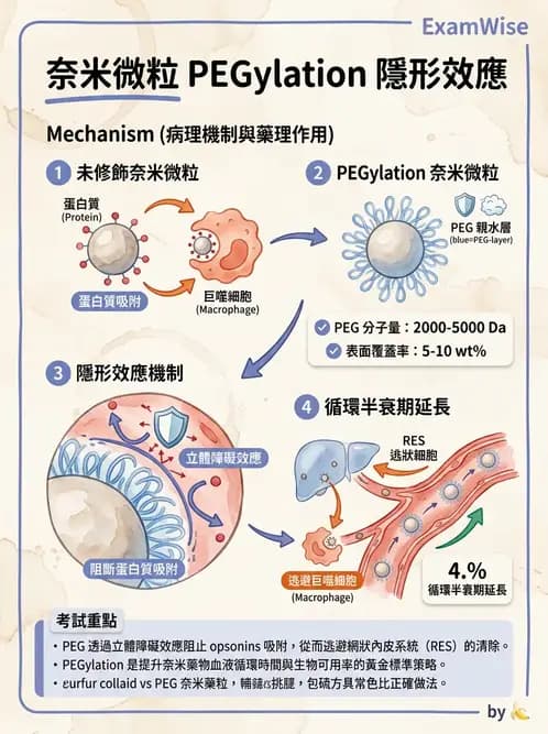 放射 - 肺肝膽與製劑通則 - AI 圖文解析預覽