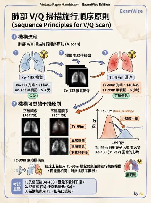 放射 - 肺部與感染造影 - AI 圖文解析預覽