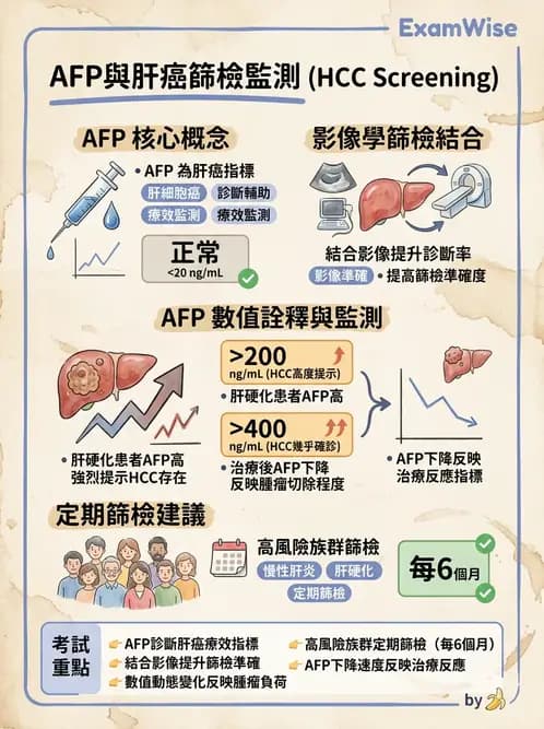 放射 - 免疫分析品管與臨床應用 - AI 圖文解析預覽