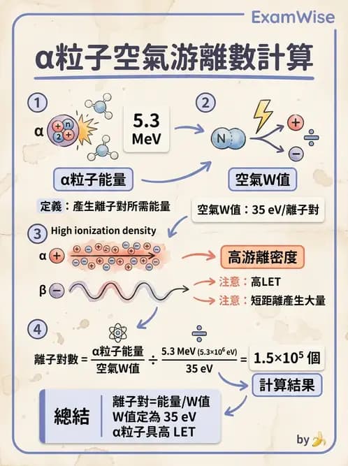 放射 - 蛻變類型與計算 - AI 圖文解析預覽