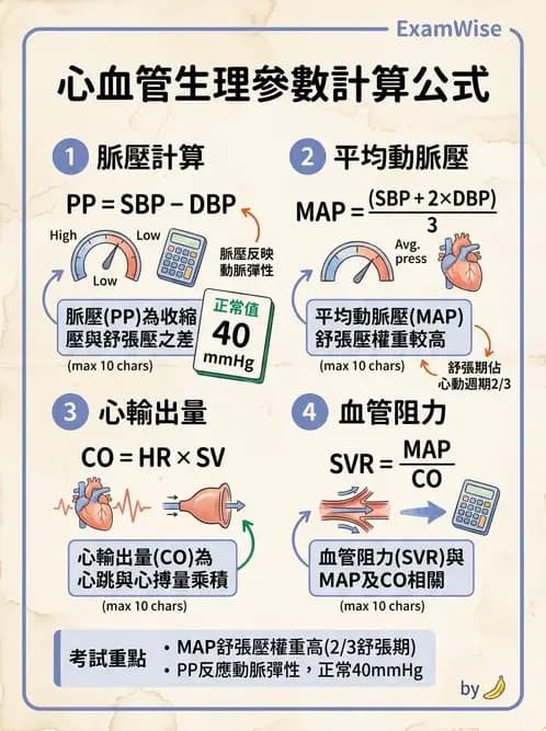 放射 - 心血管生理 - AI 圖文解析預覽