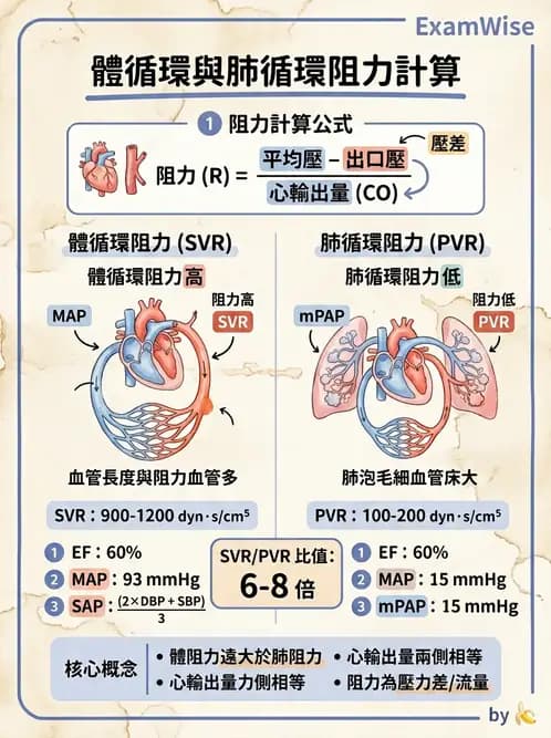 放射 - 心血管生理 - AI 圖文解析預覽