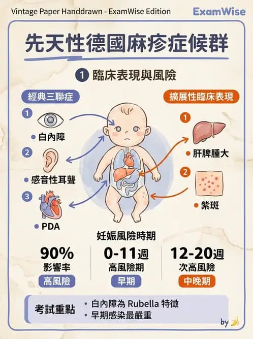 放射 - 遺傳疾病與小兒疾病 - AI 圖文解析預覽