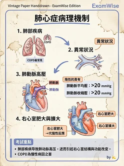 放射 - 心臟及血管疾病 - AI 圖文解析預覽