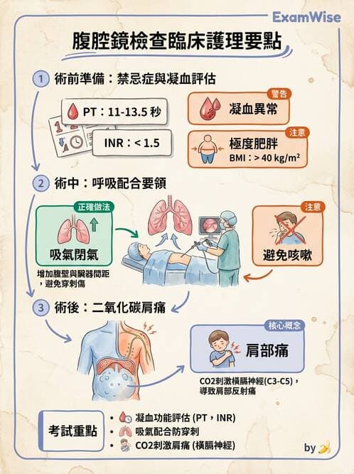 護理師 - 肝膽胰疾病 - AI 圖文解析預覽