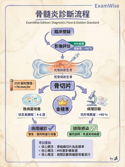 護理師 - 骨折與牽引護理 - AI 圖文解析預覽