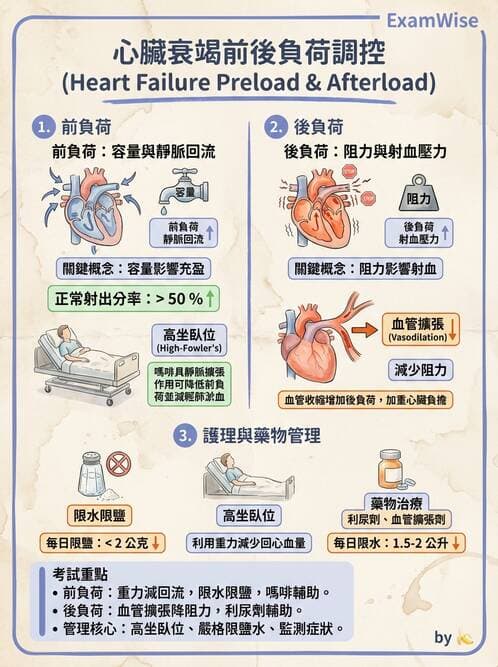 護理師 - 心臟衰竭與心律不整 - AI 圖文解析預覽