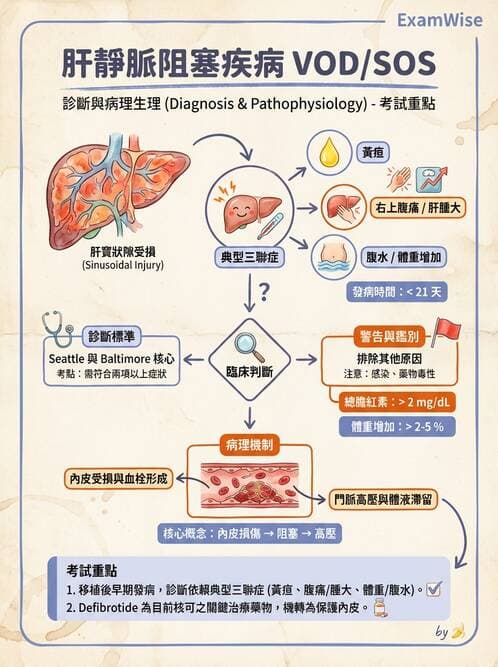 護理師 - 血液腫瘤疾病 - AI 圖文解析預覽