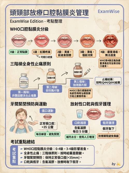 護理師 - 放療、疼痛管理與安寧護理 - AI 圖文解析預覽