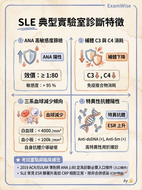 護理師 - 自體免疫疾病與過敏反應 - AI 圖文解析預覽