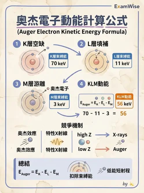 放射 - 放射性蛻變模式 - AI 圖文解析預覽