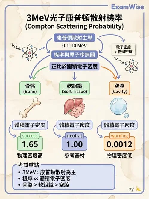放射 - 光子衰減與係數計算 - AI 圖文解析預覽
