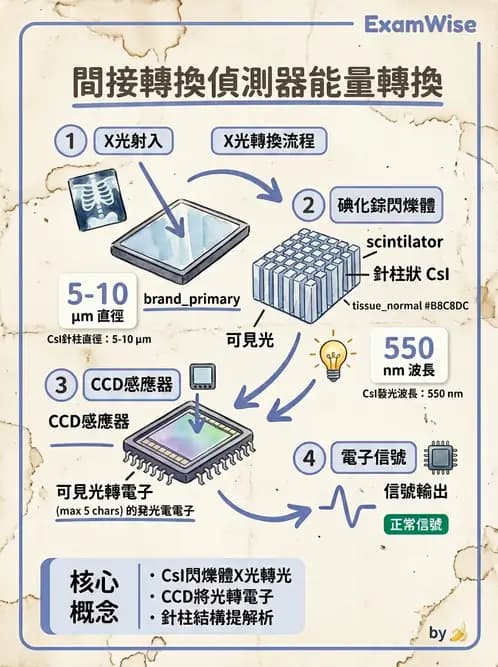 放射 - 影像接受器與乳房攝影 - AI 圖文解析預覽